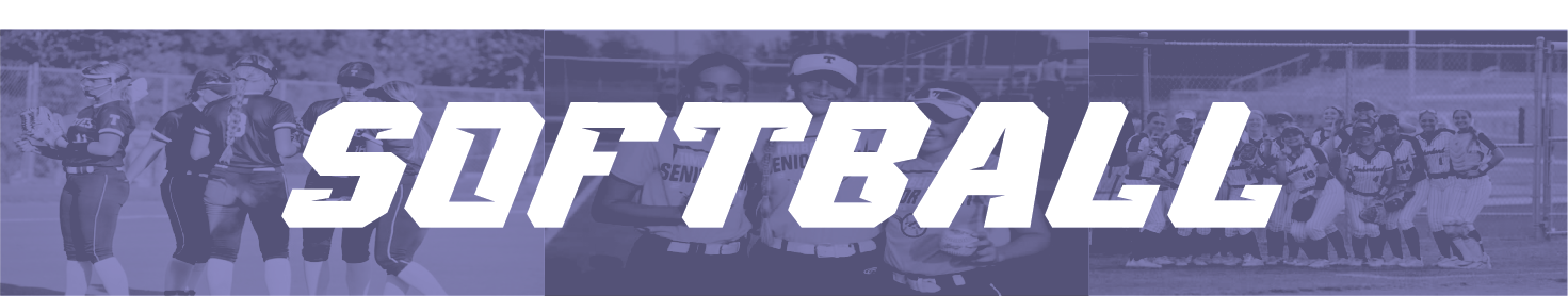 Softball Banner